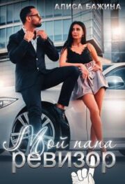 Мой папа — ревизор