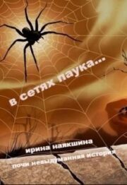 В сетях паука… (СИ)