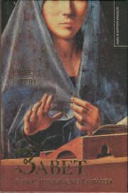 Нино Риччи - Завет, или Странник из Галилеи